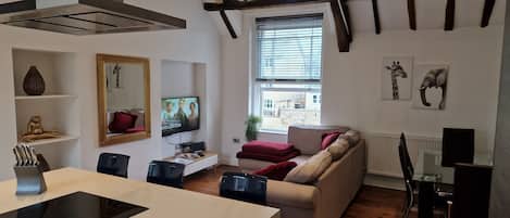 Televisio, DVD-soitin, kirjoja, videokirjasto