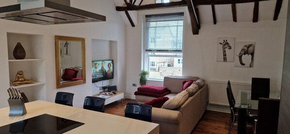 Smart TV, DVD player, books, video library