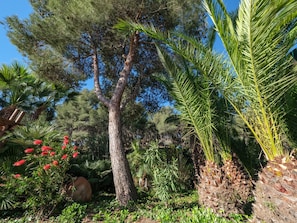 Tente | Extérieur