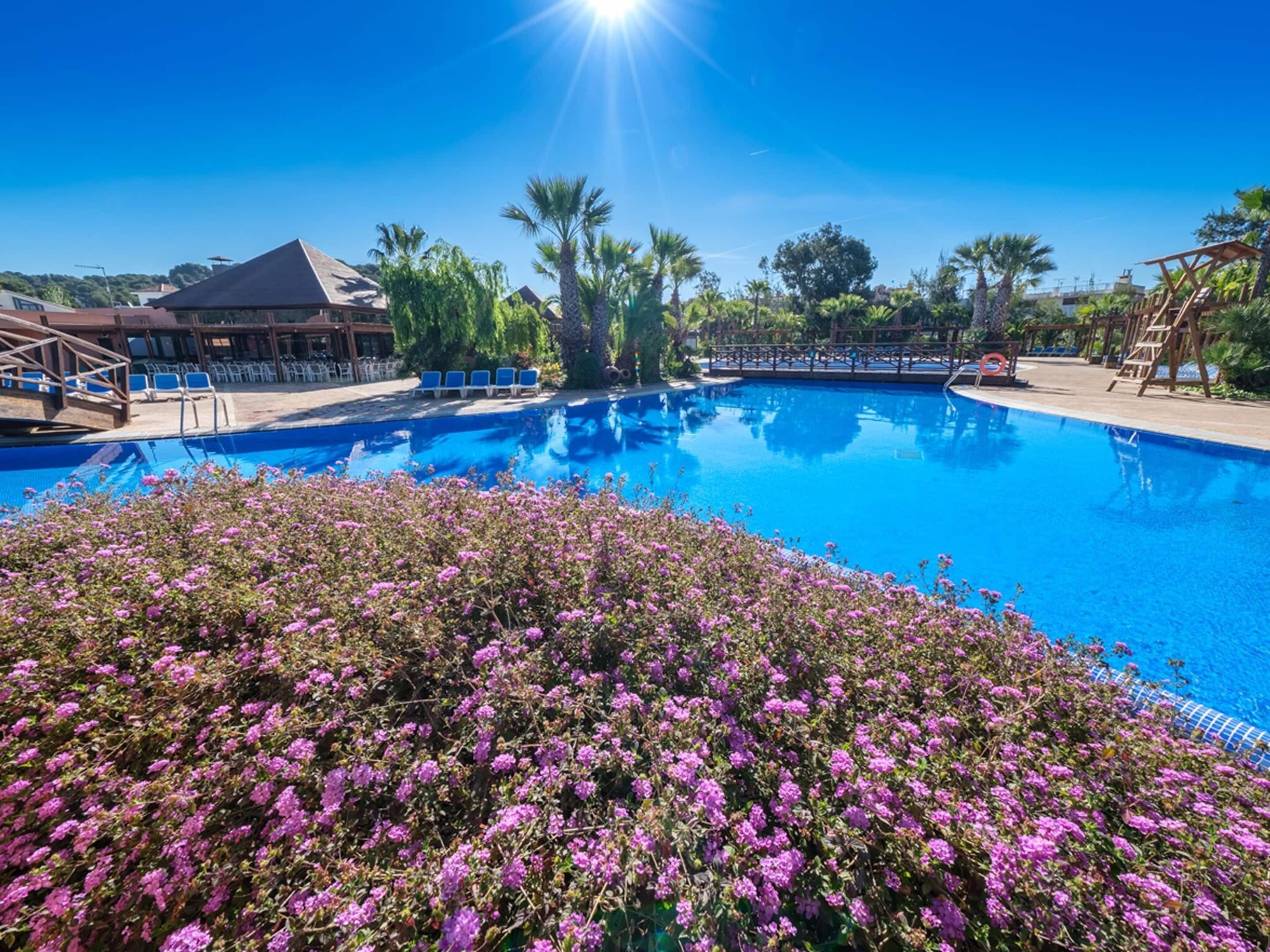 Tent | Pool | Outdoor pool