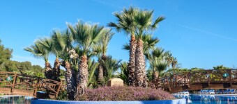 Premium Tent Lodge for Family