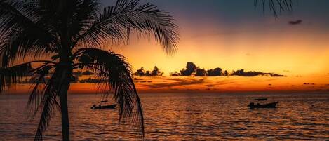 A sunset view over a calm sea with palm trees and boats.