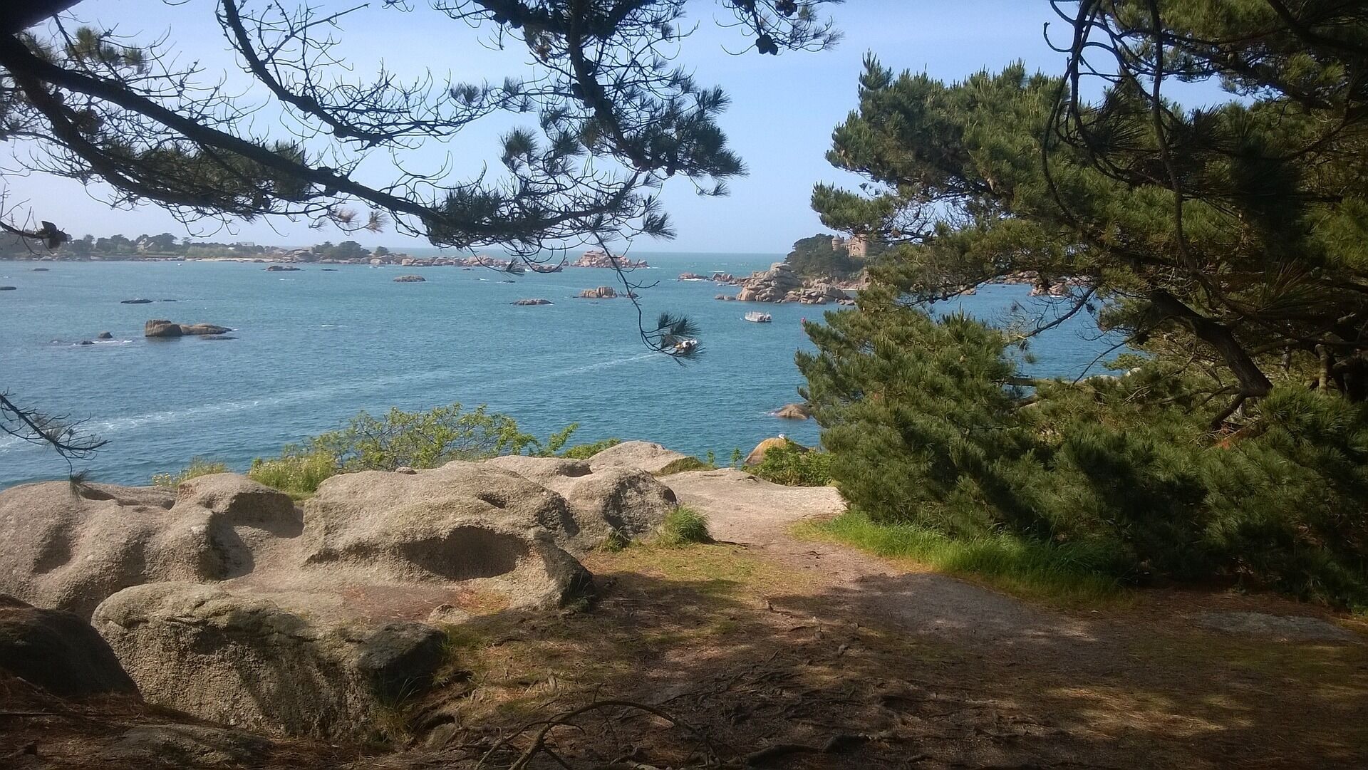 A coastal landscape with rocky terrain and pine trees.