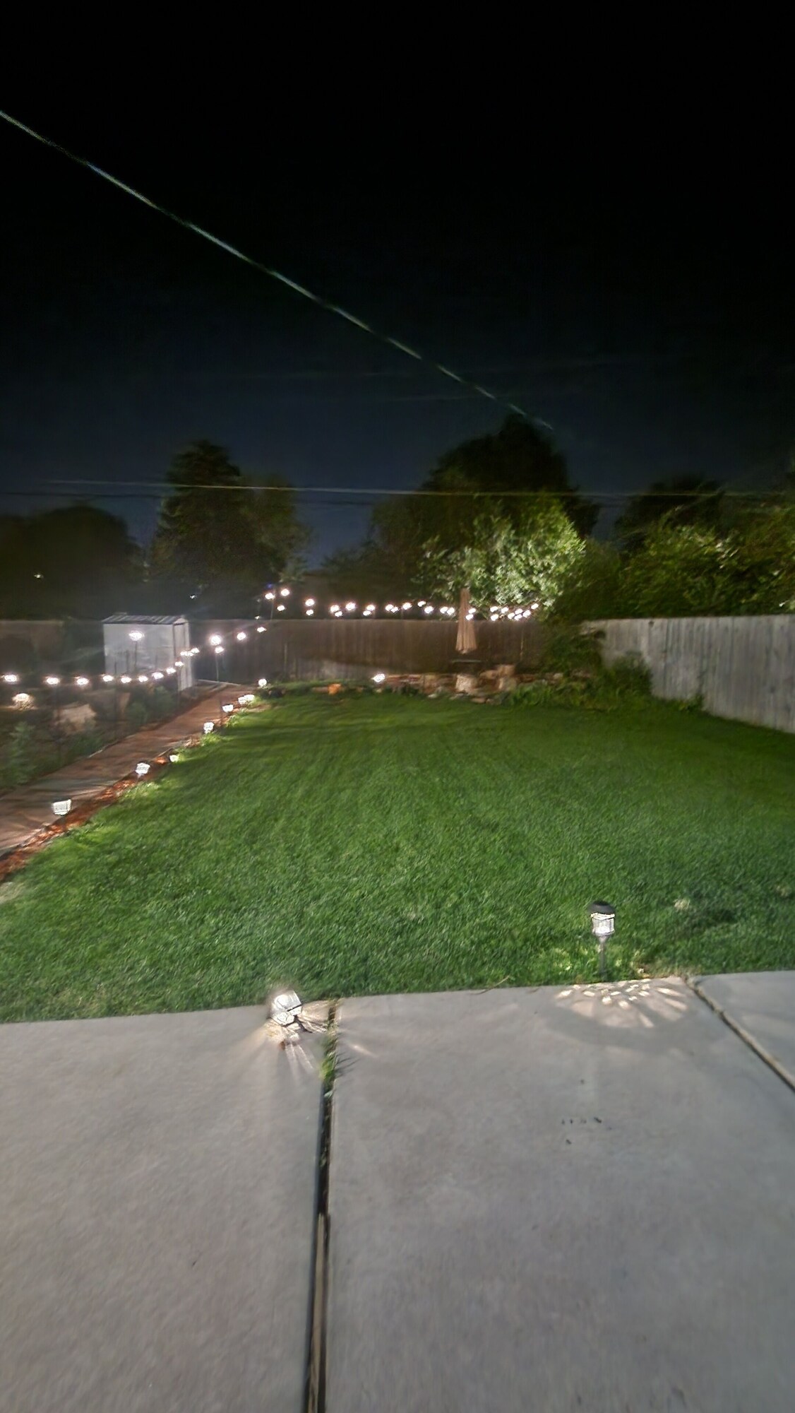 Imagen de perfil del propietario o de la propietaria