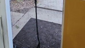 Uitzicht door een deur met horrengaas, waarop een achtertuin zichtbaar is met een houten schutting, een boom en een verhard terras.