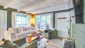 TV, fireplace, books