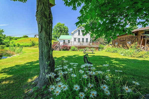 Terrein van de accommodatie