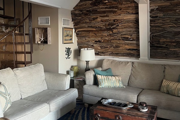 Smart TV, caminetto, libri, impianto stereo