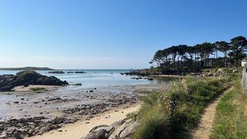 Plage, chaises longues