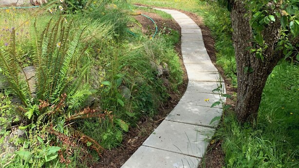 A concrete pathway leading through a lush garden with various plants and a tree bearing fruit. - Silva Bay View, a boutique, private BnB with a great view (Gabriola)