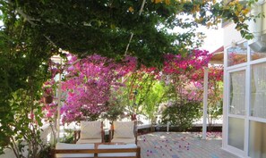 Exterior - Begonvil Garden Apart (Fethiye)