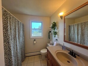 Hair dryer, towels, soap, toilet paper - The Secret Garden - King Bed, Pets Welcome! (Bristol)