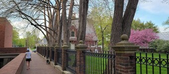Walkable Downtown Getaway   (FREE Bikes to use)