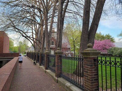 Walkable Downtown Getaway (FREE Bikes to use)