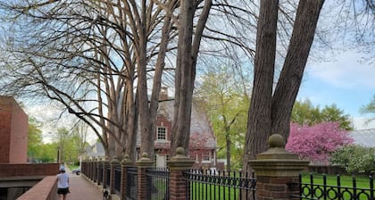 Downtown Getaway ~ Historic & Peaceful, FREE Bikes