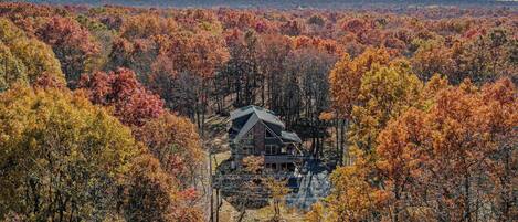 A house surrounded by autumn foliage.