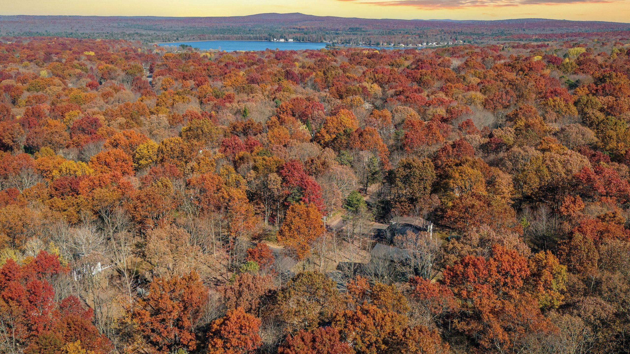 A forested landscape with a lake and buildings in the distance.