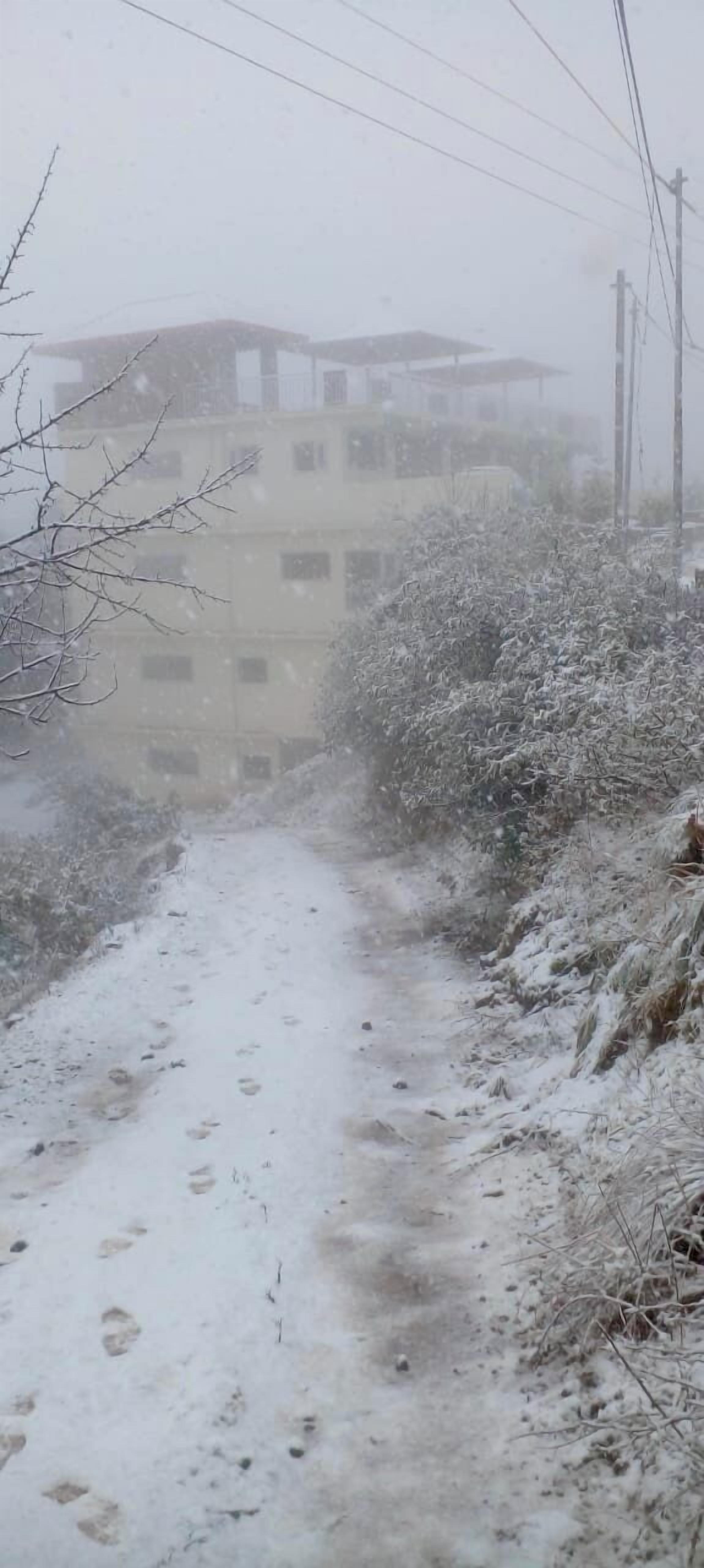 Un sendero cubierto de nieve con huellas, un edificio al fondo y árboles sin hojas.