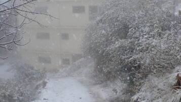 Un sendero cubierto de nieve con huellas, un edificio al fondo y árboles sin hojas.