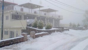 Una calle residencial con casas y un camino cubierto de nieve.