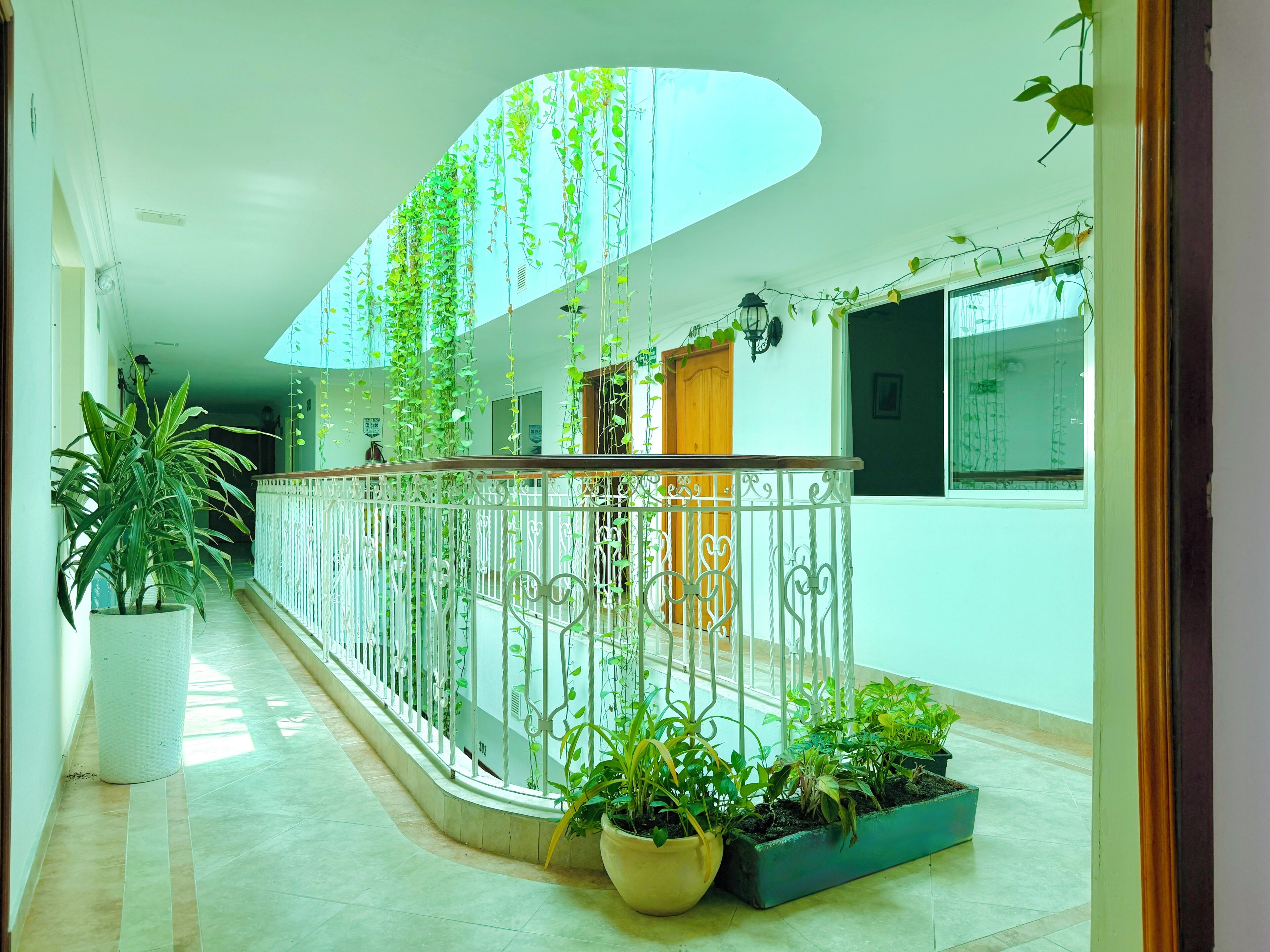 A corridor with a white railing, potted plants, and a wooden door.