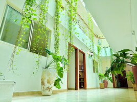 Um espaço interno amplo com plantas pendentes, um vaso grande e piso de azulejos.