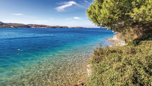 A coastal landscape with clear blue waters, rocky shore, and dense greenery. - Holiday Home Boni - Holiday Home (Rab)