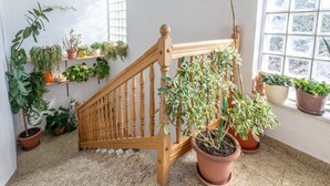 Una escalera con barandilla de madera, flanqueada por macetas con plantas a ambos lados.