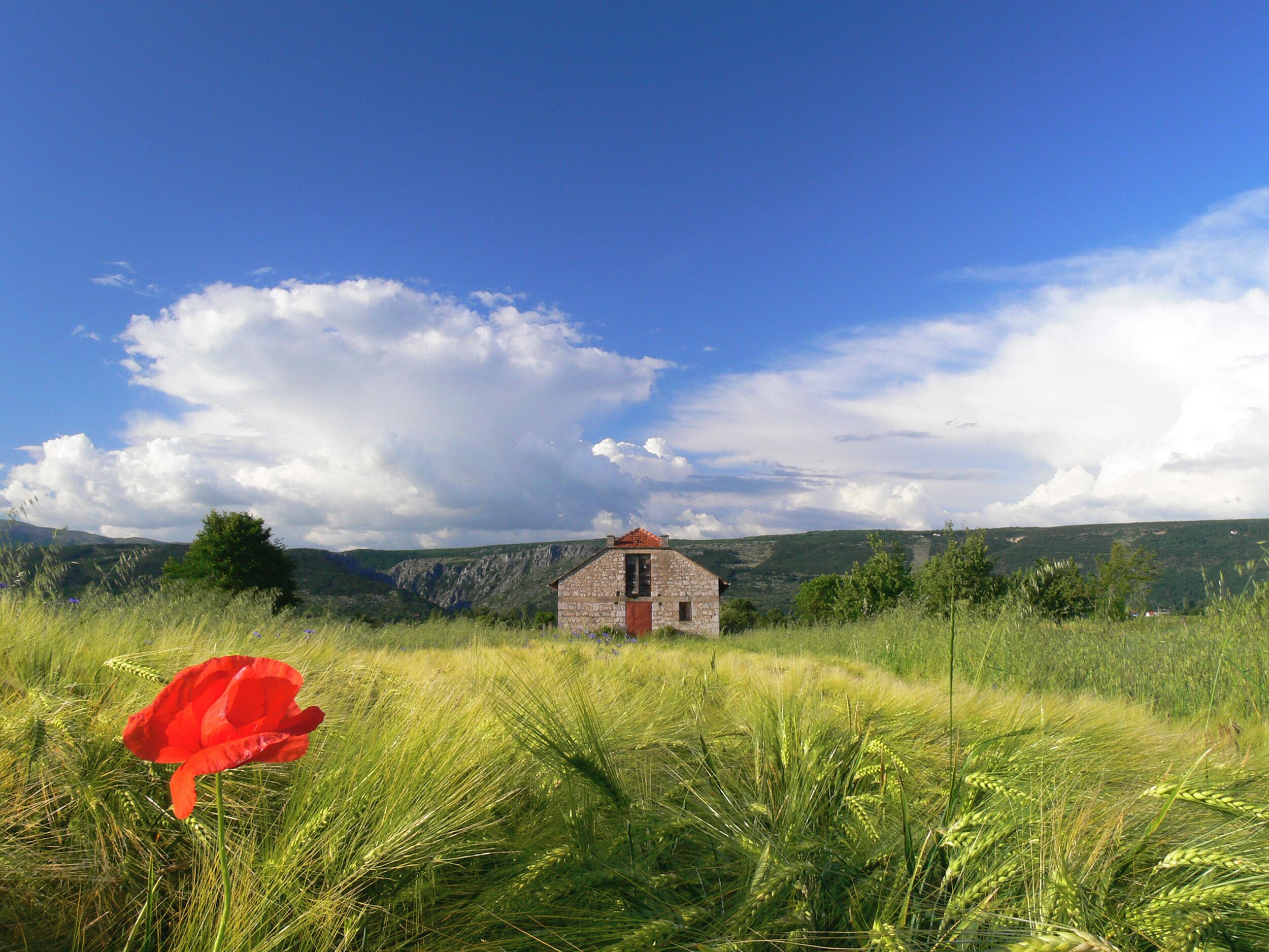 Un edificio in pietra con tetto rosso, immerso in prati verdi e colline, sotto un cielo azzurro con nuvole.