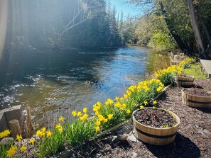 Overnatningsstedets område