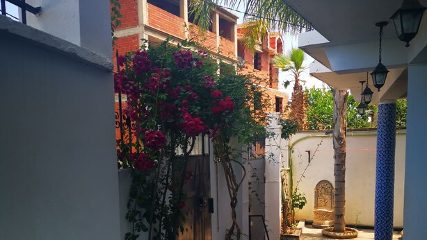 A narrow pathway leading to a building with a tiled floor and a small garden area with a tree and flowering plants. - Relaxing getaway, Studio between Béjaïa and JIJEL (Ziama Mansouriah)