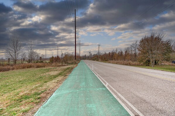A road with a green bike lane, surrounded by trees and power lines.
