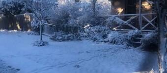 Larsen's Cottage #1: Historic 1880 Home