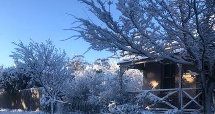 Larsen's Cottage #1: Historic 1880 Home