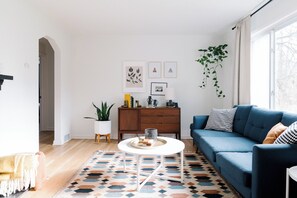 Smart TV, chimenea y libros 