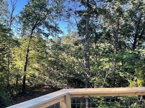 Property grounds - Bear Top w/ EV Charger (Cosby)