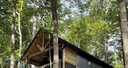 Bear Top Hideout