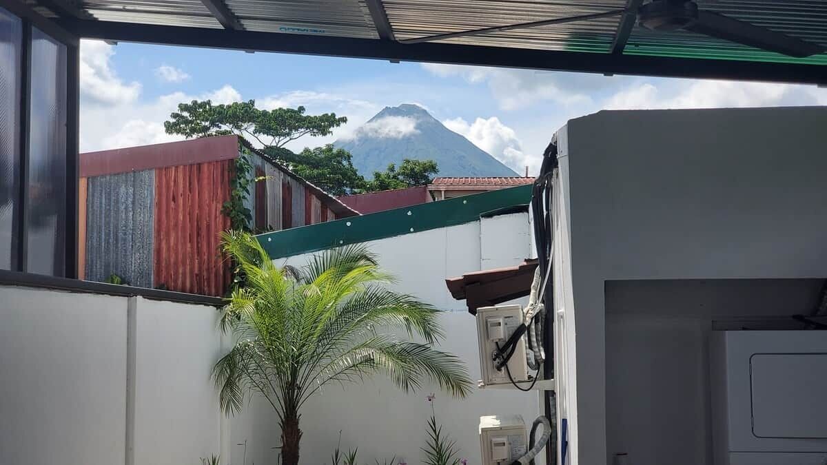 A room with a view of a mountain, a palm tree, and a red wall.