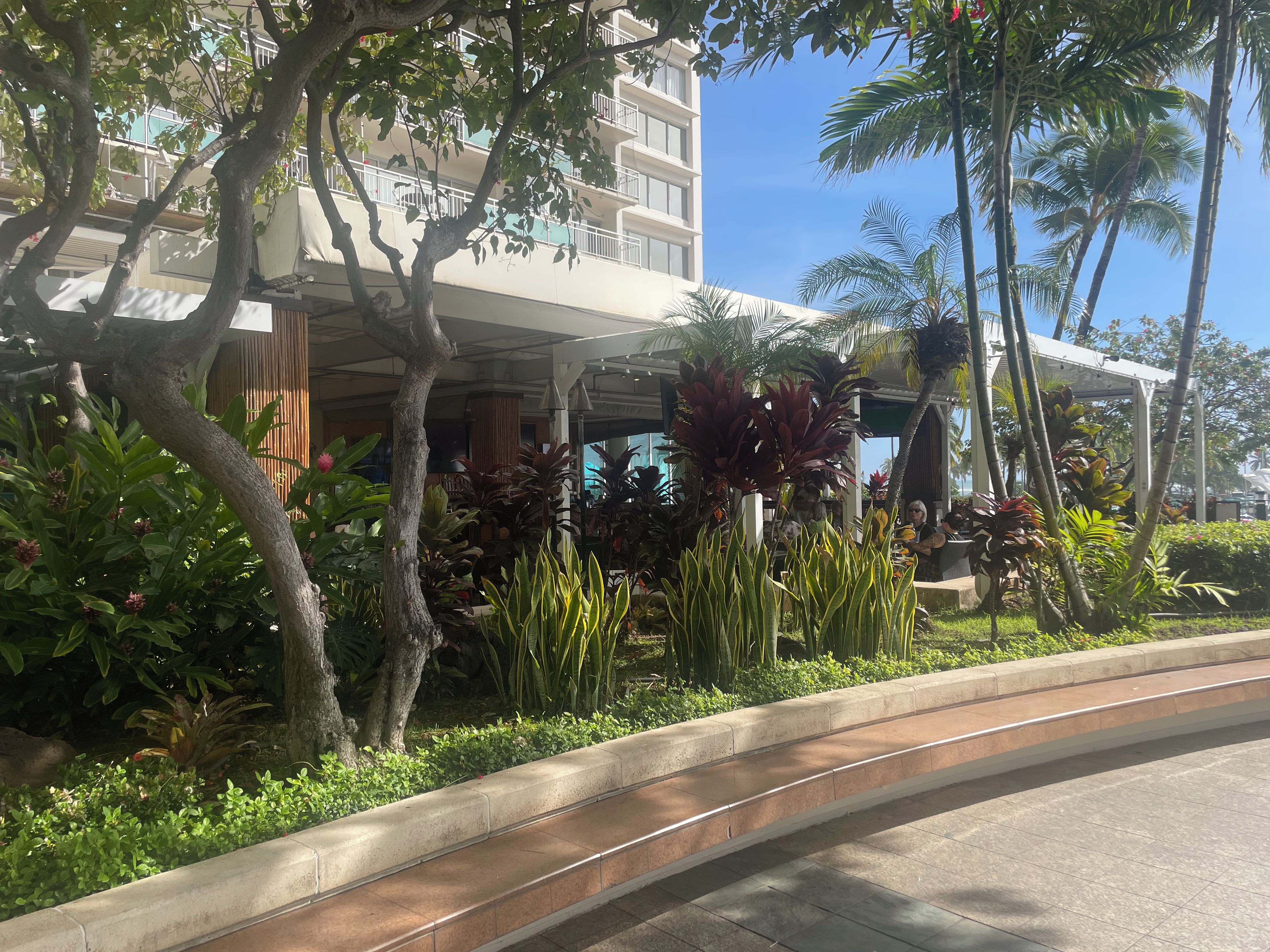 A hotel with a covered outdoor area, surrounded by tropical plants and palm trees.
