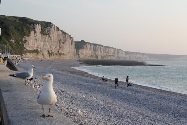 Plage à proximité
