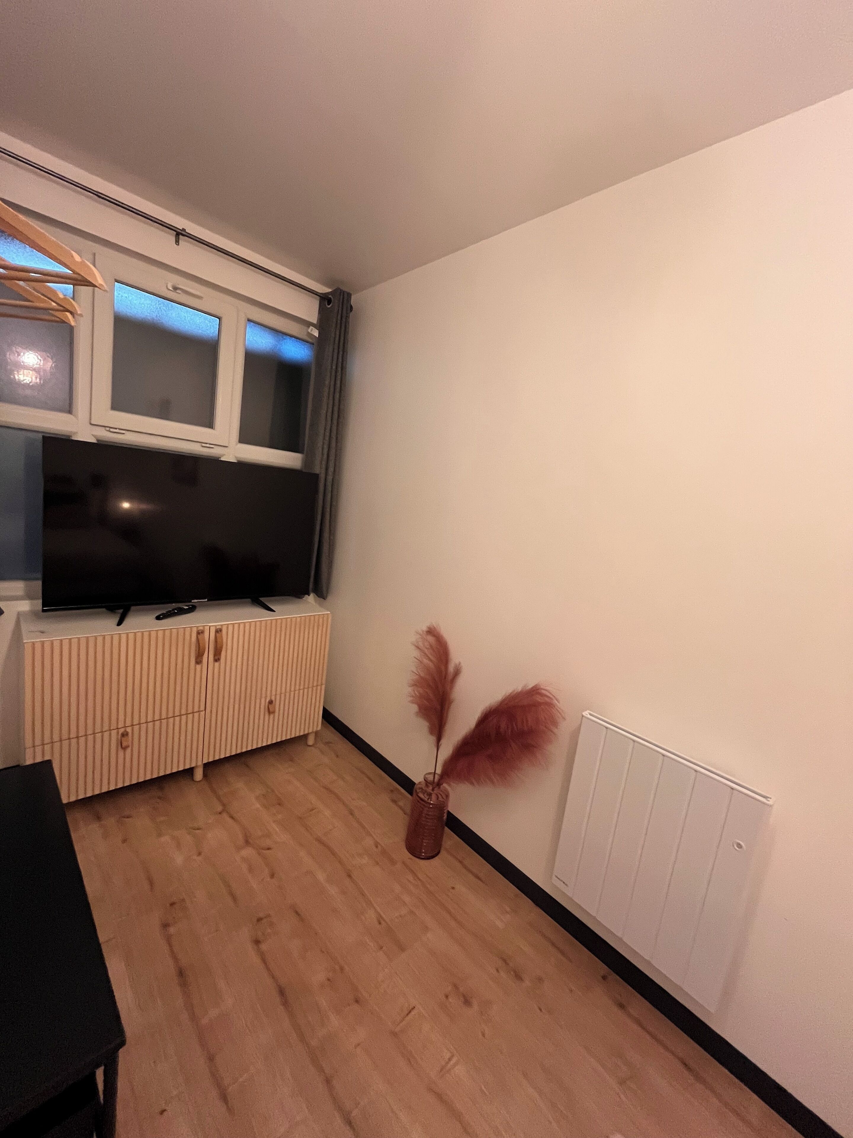 Une pièce avec un téléviseur posé sur un meuble en bois, un radiateur et un vase contenant des plantes séchées.