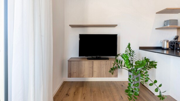 En moderne stue med et fladskærms TV på et træskab, en potteplante og indbyggede hylder med hårde hvidevarer.