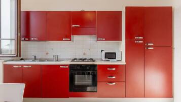 Fridge, oven, stovetop, electric kettle