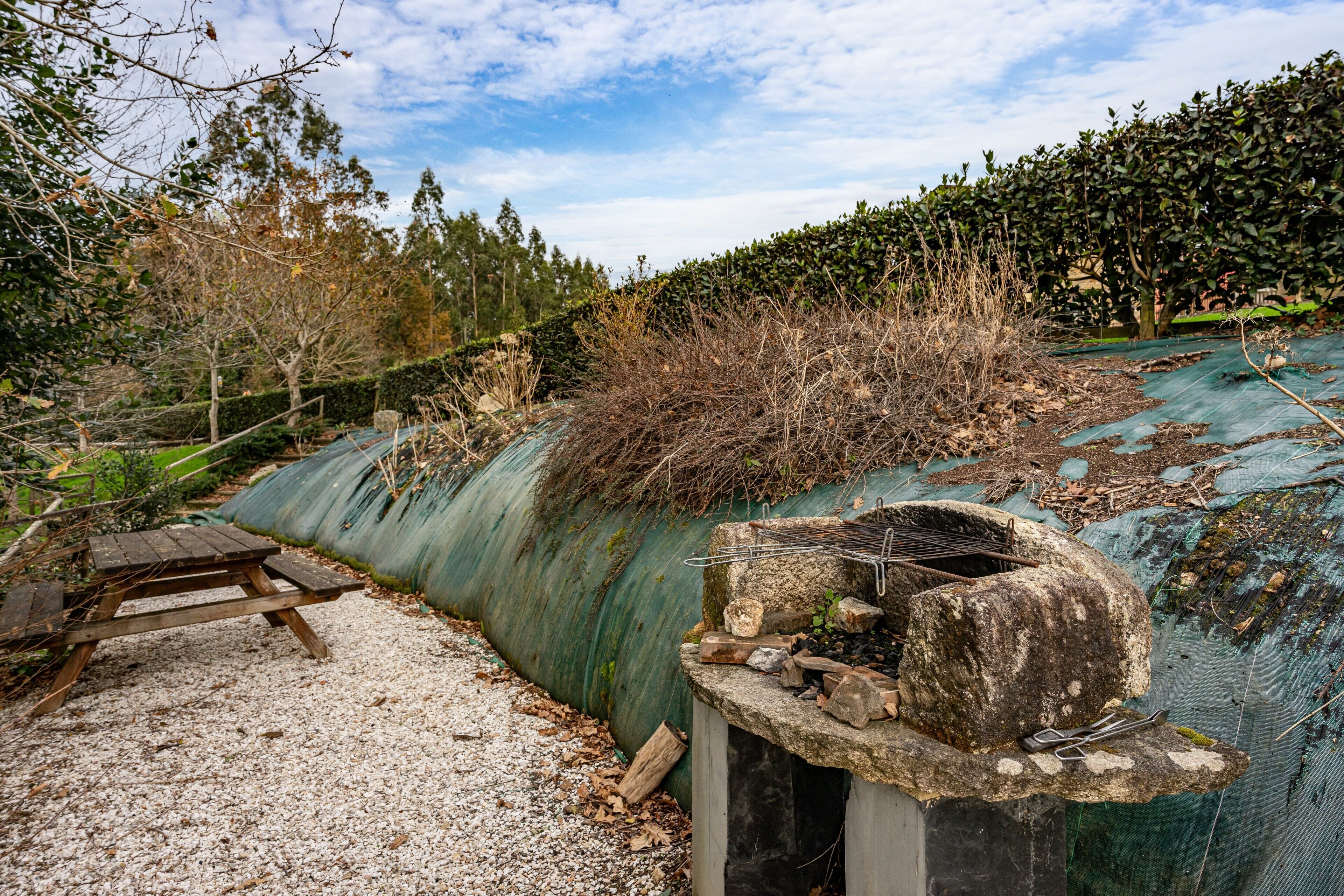 屋外ダイニングエリア