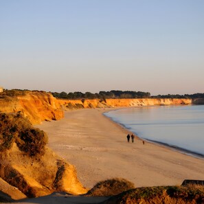A beach with a curved shoreline, a few people walking, and a dog.