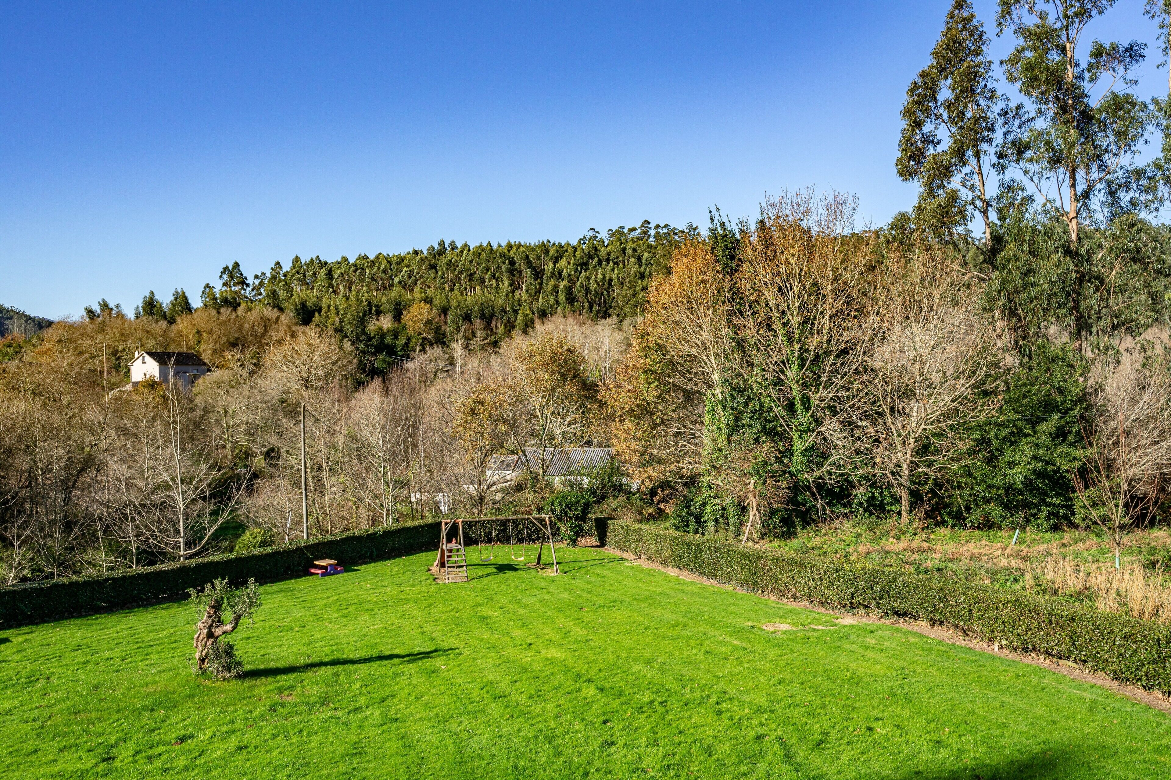 Une zone herbeuse bien entretenue, avec une balançoire, un petit bâtiment et une forêt dense en arrière-plan.