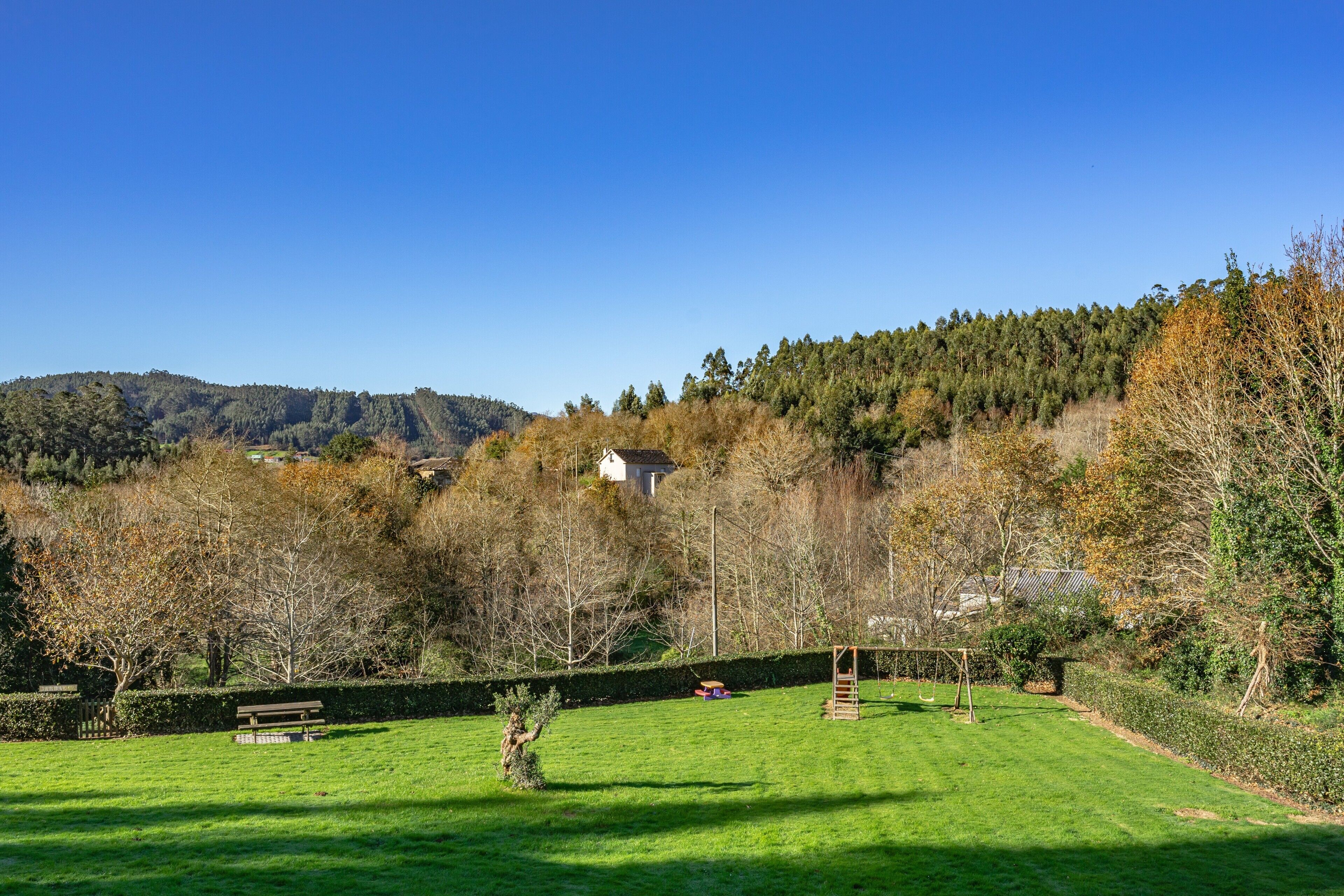 Ein grasbewachsenes Feld mit einer Bank, einer Schaukel und einem kleinen Schuppen.