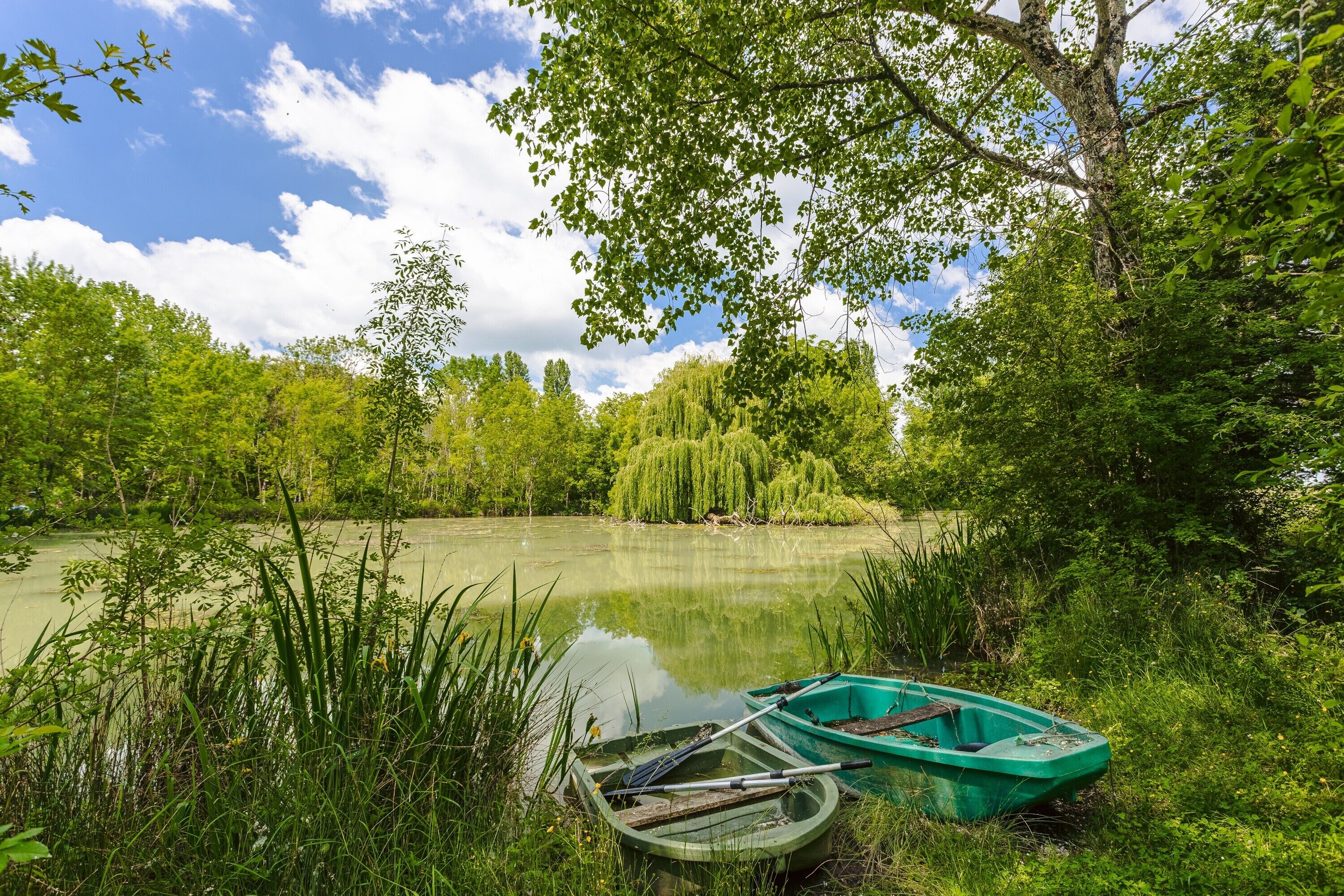 A calm lake with boats, surrounded by lush greenery and trees.