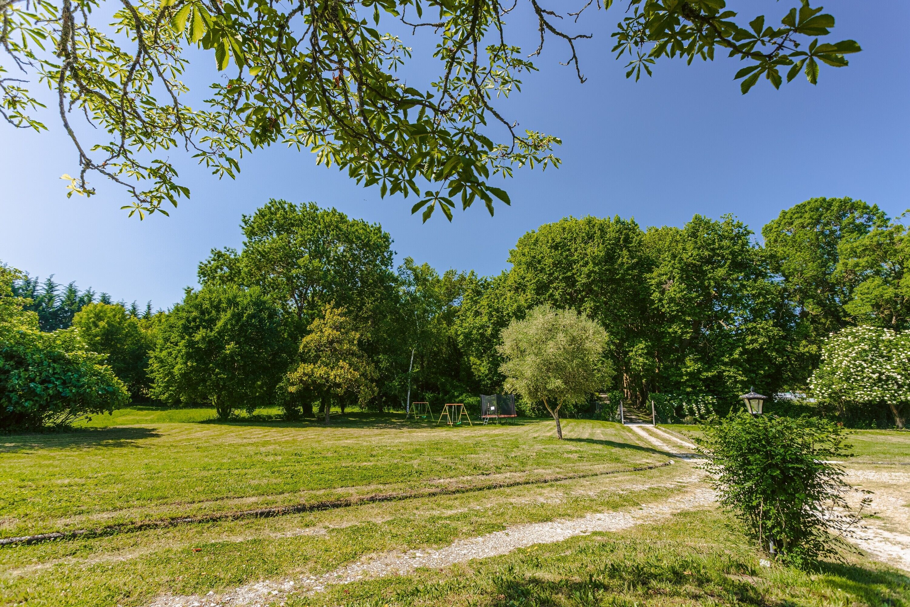 A park with trees, a path, and swings.
