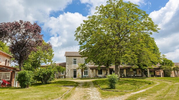 Une cour avec un bâtiment en pierre, un grand arbre et un chemin de gravier.